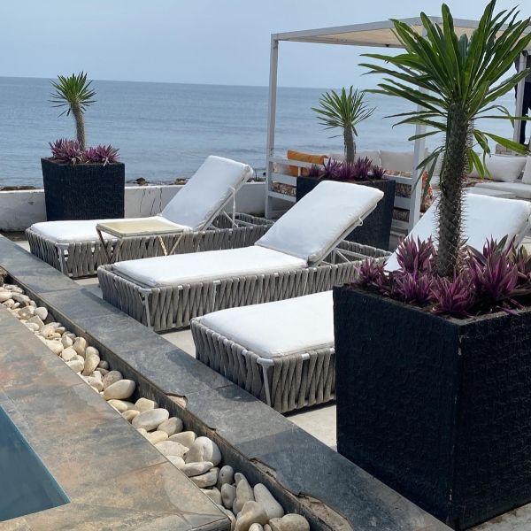 Cosmo Beach Club
