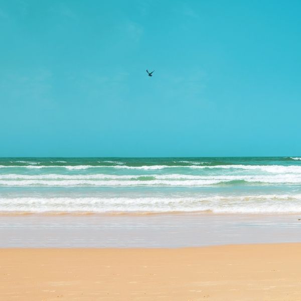 Plage BCEAO