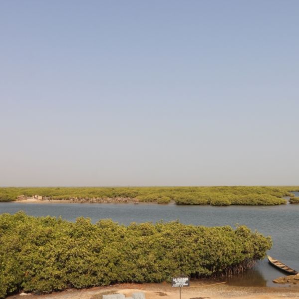 Aire marine protégée de Joal-Fadiouth
