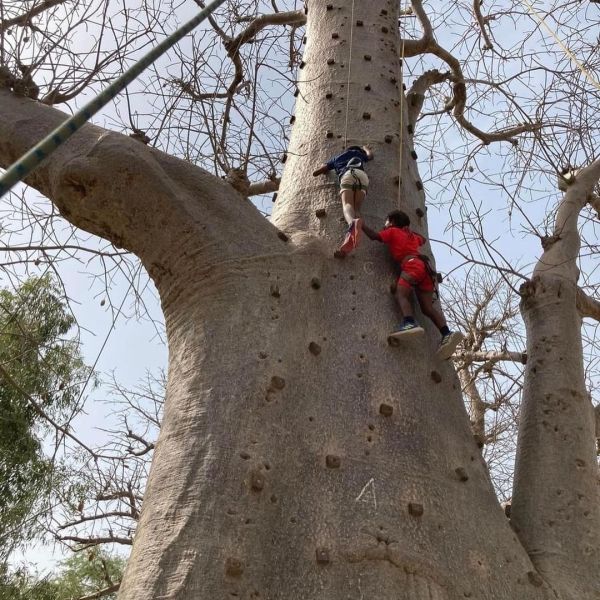 Accro Baobab Adventure