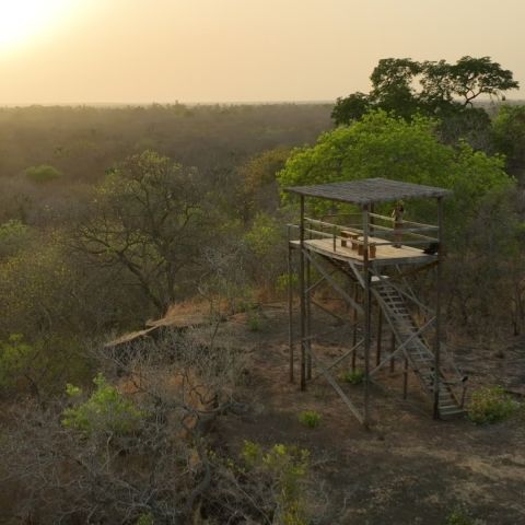 Niokolodge