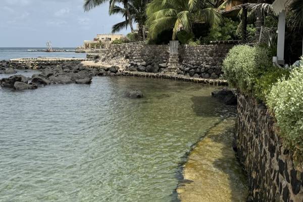 Île de Ngor