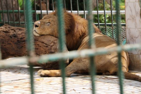 Parc Zoologique de Hann
