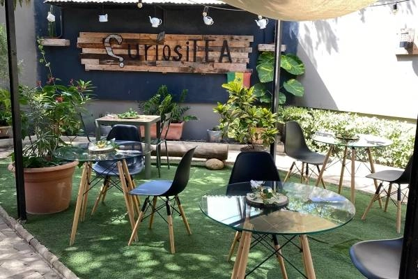 CuriosiTEA