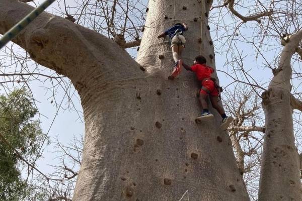 Accro Baobab Adventure