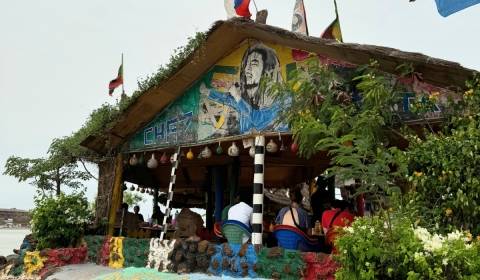 Chez Rasta Paradise