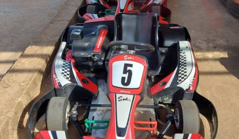 Kart'ing Saly