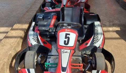 Kart'ing Saly