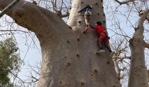 Accro Baobab Adventure