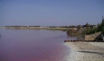 Lac Rose