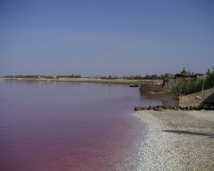 Lac Rose
