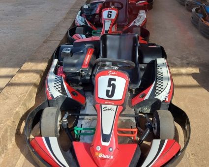 Kart'ing Saly