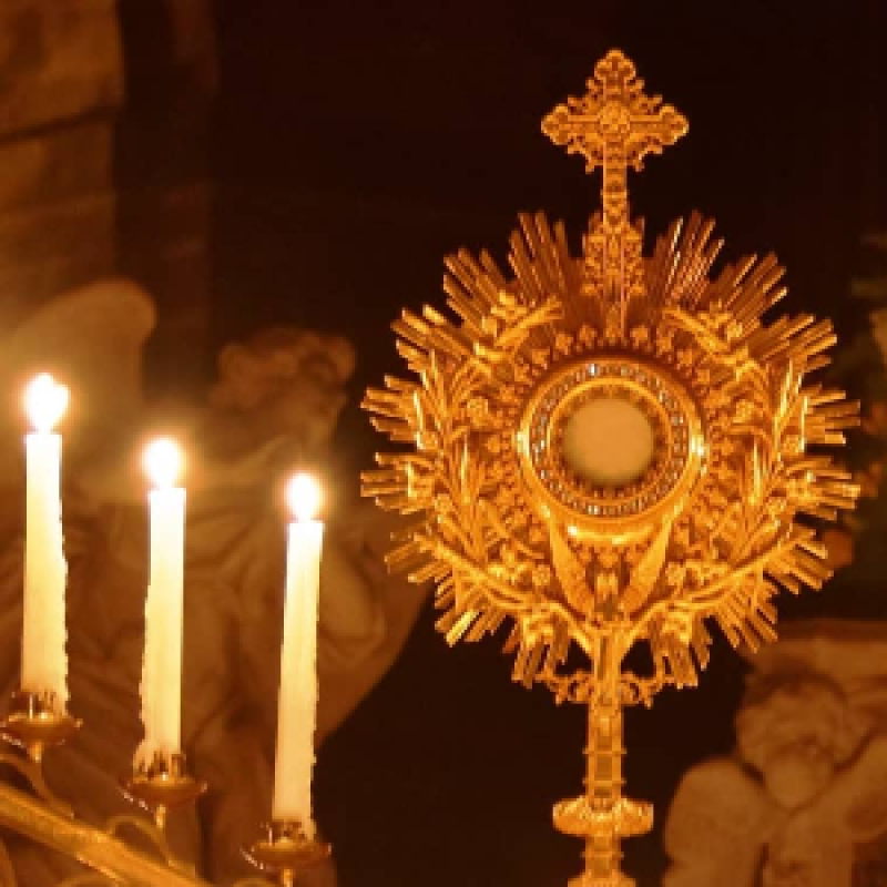 Photo de profil de gildas