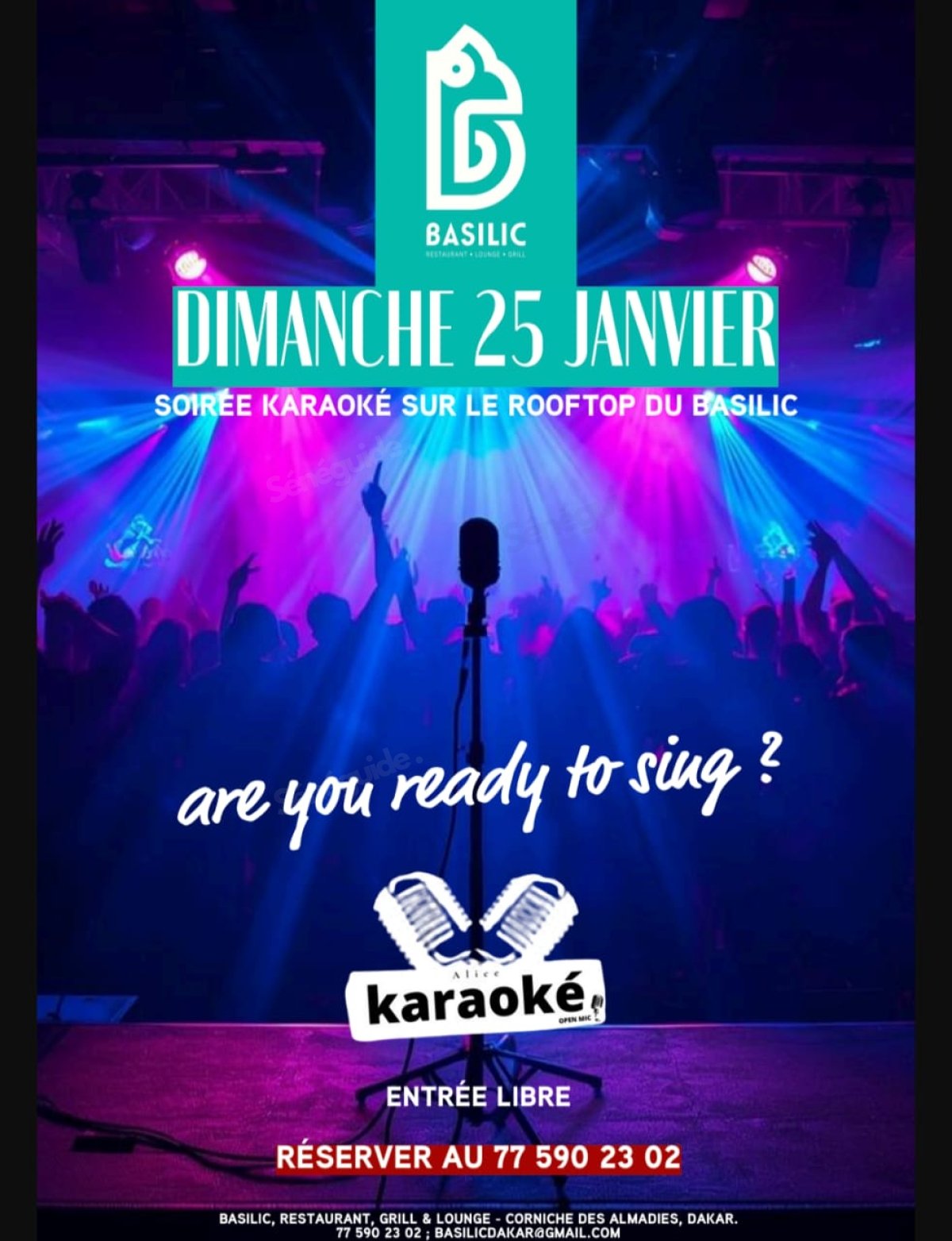Karaoké Party au Basilic