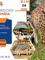 Safari à la Réserve de Bandia
