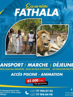 Excursion à Fathala avec les lions