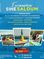 Excursion Sine Saloum