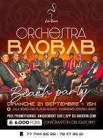 Orchestra Baobab