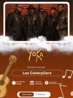 Les Caterpilars en live